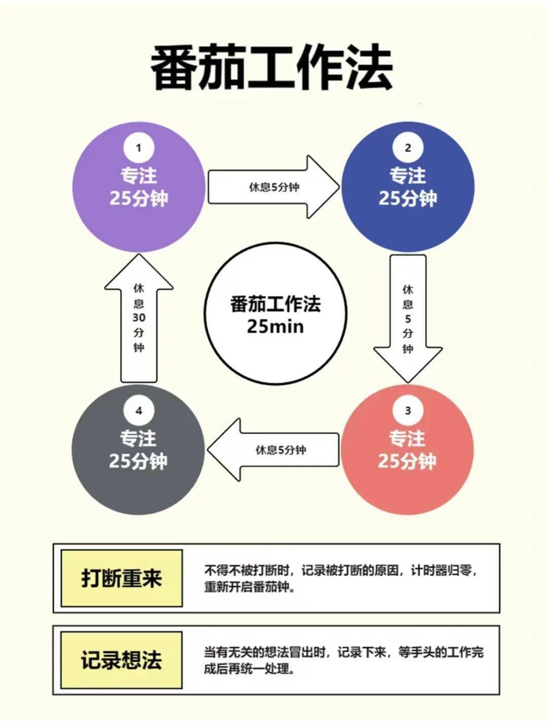 制作寿司的时间管理技巧